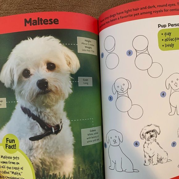 Dogs and Pappies, Learn how to draw BOOK & 20% OFF if you buy 4 items I sell ! - Picture 3 of 4